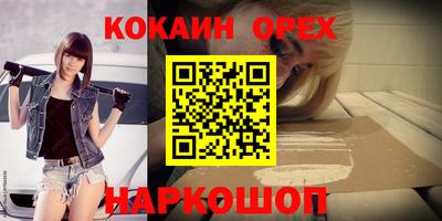 шишки Кимры