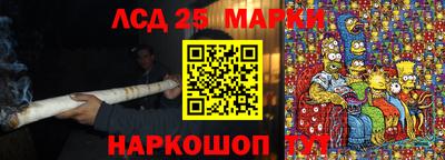 шишки Кимры