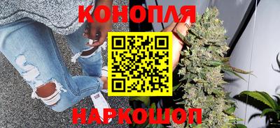 шишки Кимры
