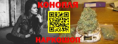 шишки Кимры