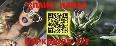 шишки Кимры