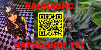 шишки Кимры