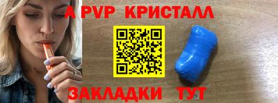 шишки Кимры