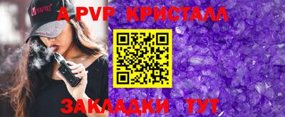шишки Кимры