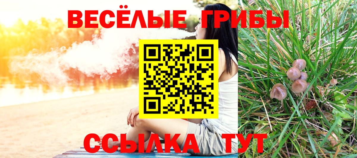 Псилоцибиновые грибы MAGIC MUSHROOMS  хочу наркоту  Чапаевск  Вход с VPN 