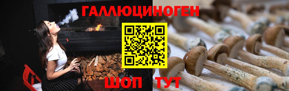 Галлюциногенные грибы Cubensis Чапаевск
